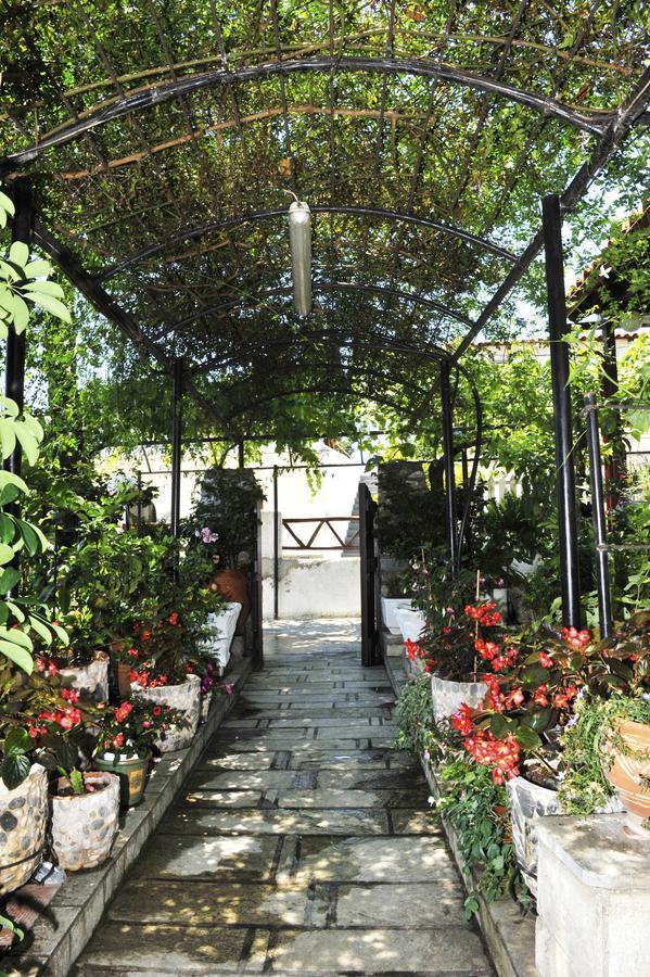 Chrissomalli Sofia Studios Skiathos Town Exterior photo
